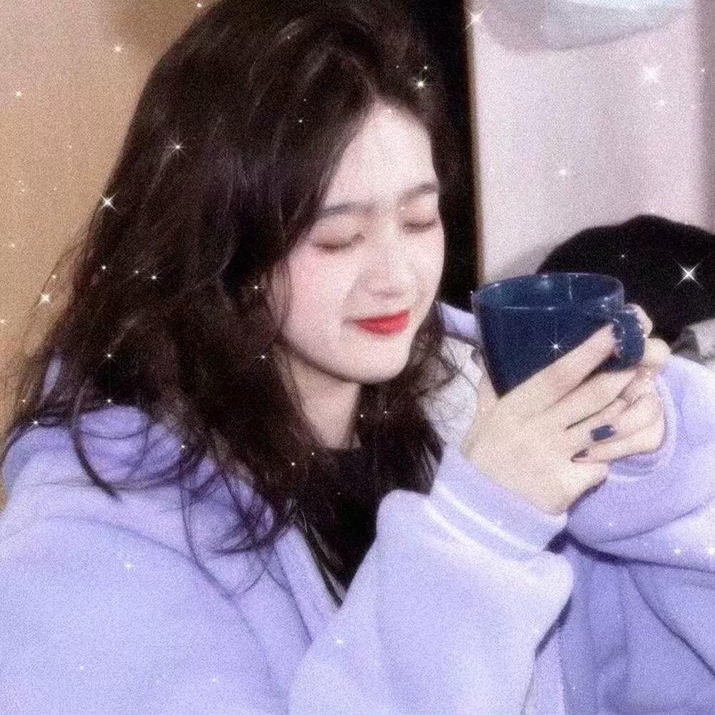 科搜研之女第24季