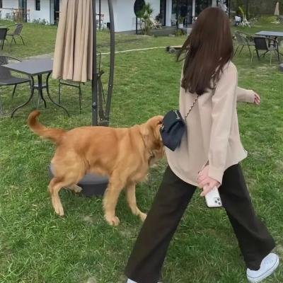 青春逍遥游